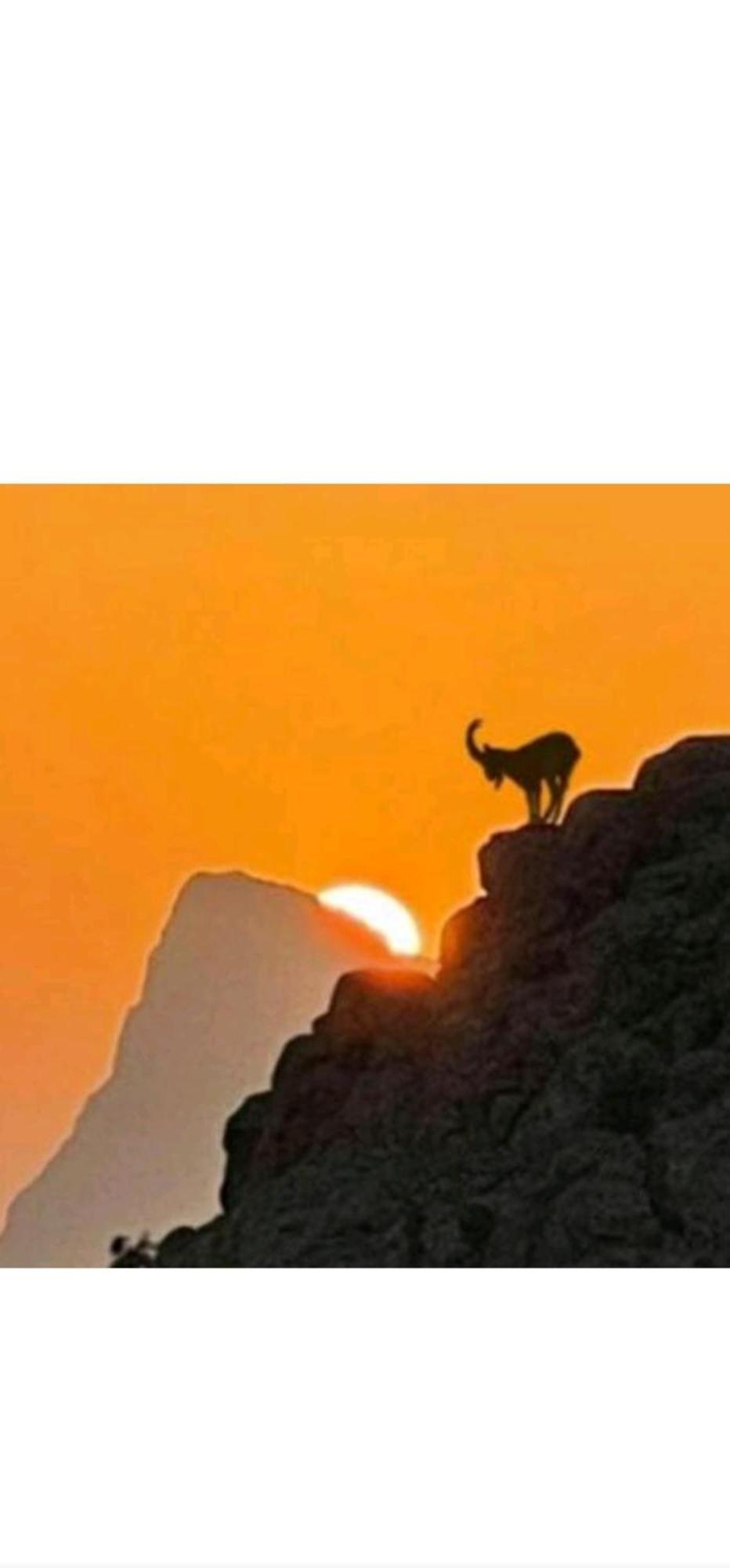 Dar Sawdaجبل شمس Jabal Shams Sunset House别墅 外观 照片